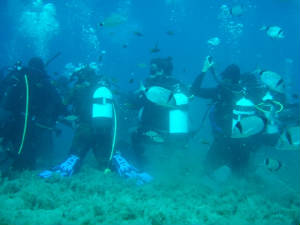 divers.jpg